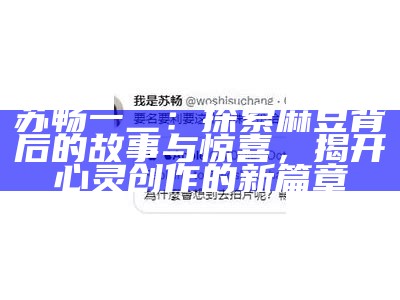 苏畅一二：探索麻豆背后的故事与惊喜，揭开心灵创作的新篇章